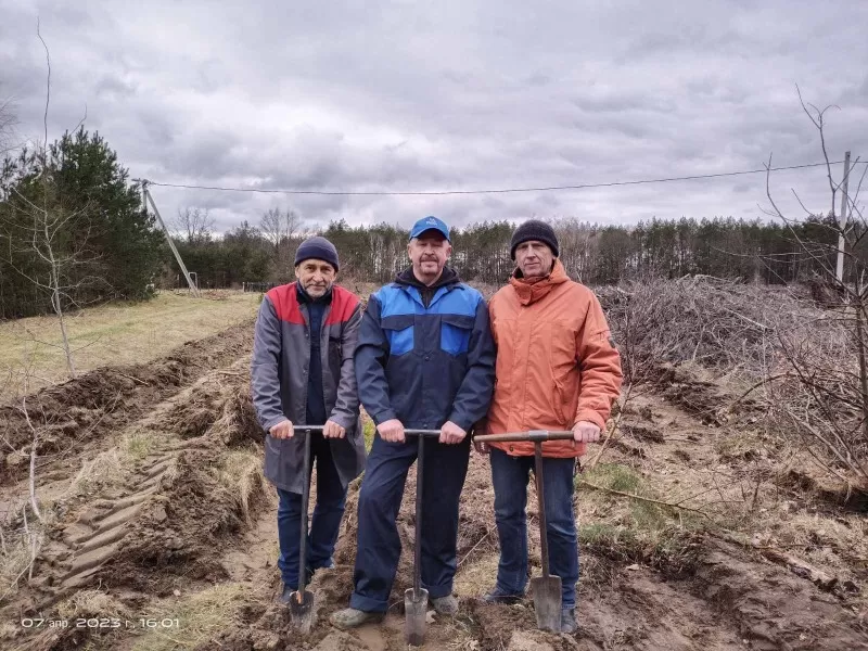 Brest branch took part in the action "Forest Week"